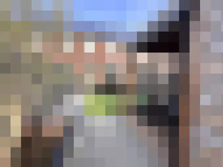 Schelpenlaan 55 Terneuzen thumbnail 23