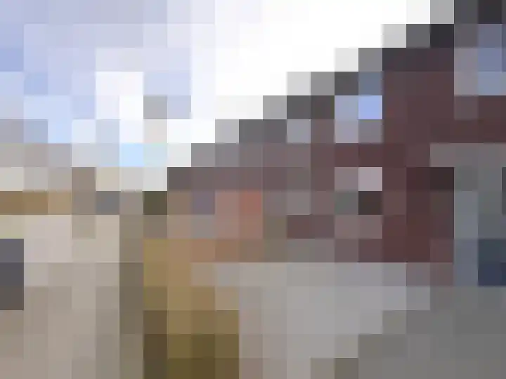 Schelpenlaan 55 Terneuzen thumbnail 24