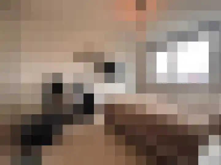 Schelpenlaan 55 Terneuzen thumbnail 28