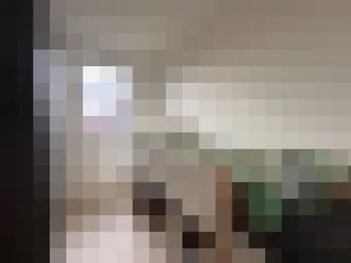 Schelpenlaan 55 Terneuzen thumbnail 30