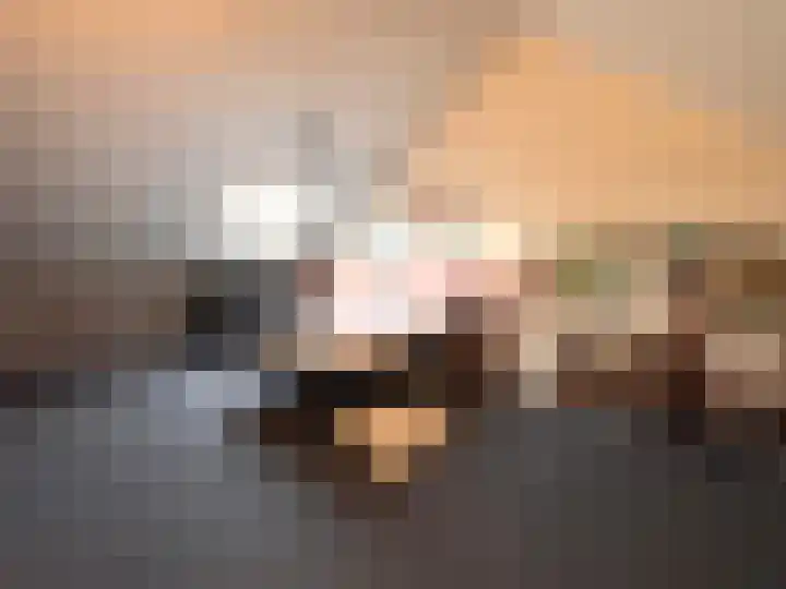Schelpenlaan 55 Terneuzen thumbnail 31