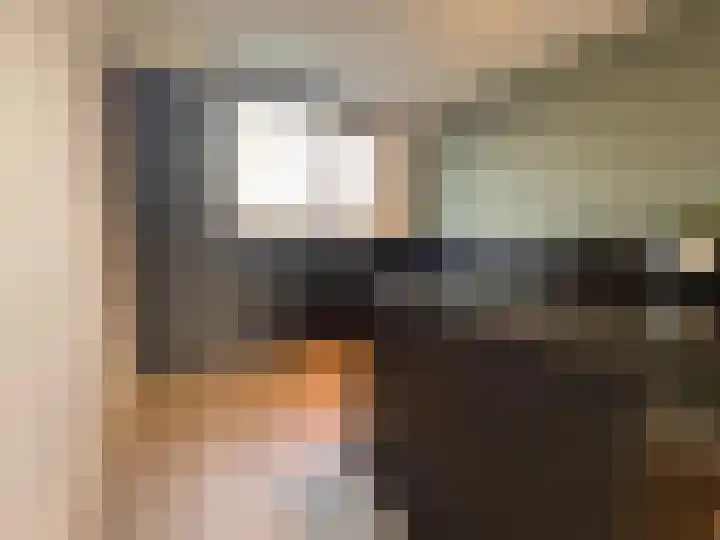 Schelpenlaan 55 Terneuzen thumbnail 4