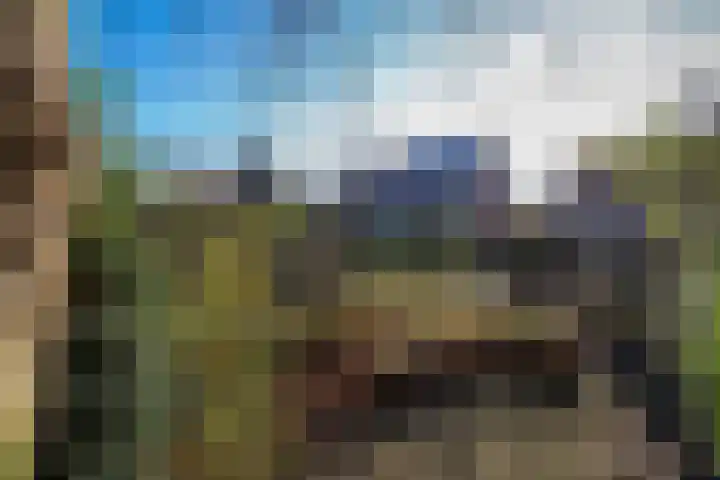 Schelpenweg 4 Oostvoorne thumbnail 42