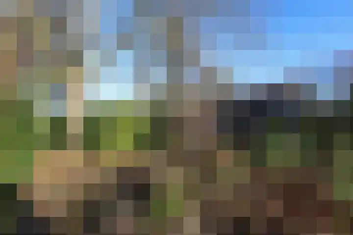 Schelpenweg 4 Oostvoorne thumbnail 43