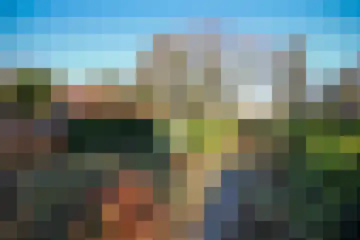 Schelpenweg 4 Oostvoorne thumbnail 45