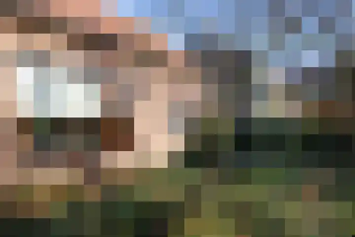 Schelpenweg 4 Oostvoorne thumbnail 5