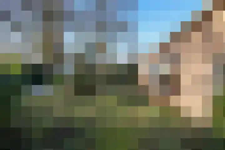 Schelpenweg 4 Oostvoorne thumbnail 6