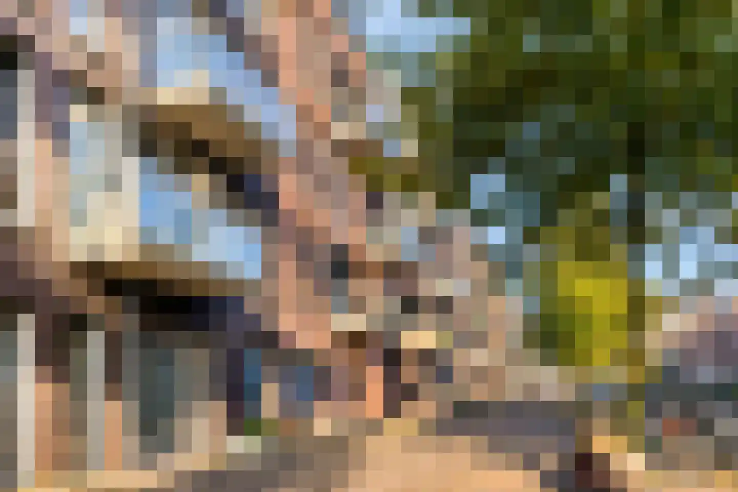 Schelphoek 190 Alkmaar thumbnail 27