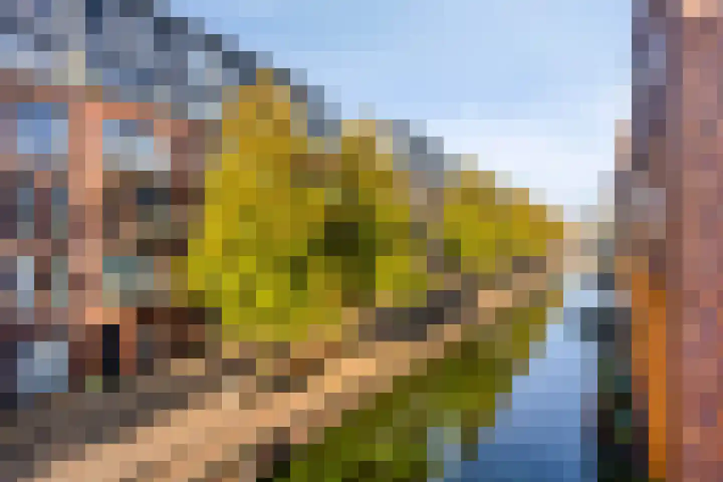 Schelphoek 190 Alkmaar thumbnail 28