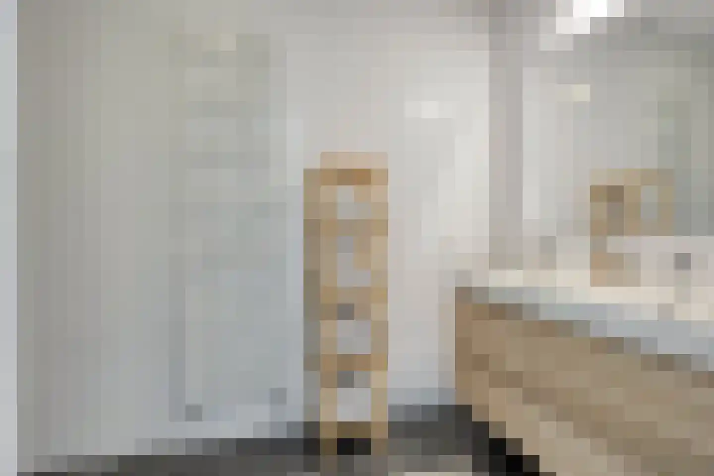 Schelphoek 204 Alkmaar thumbnail 18