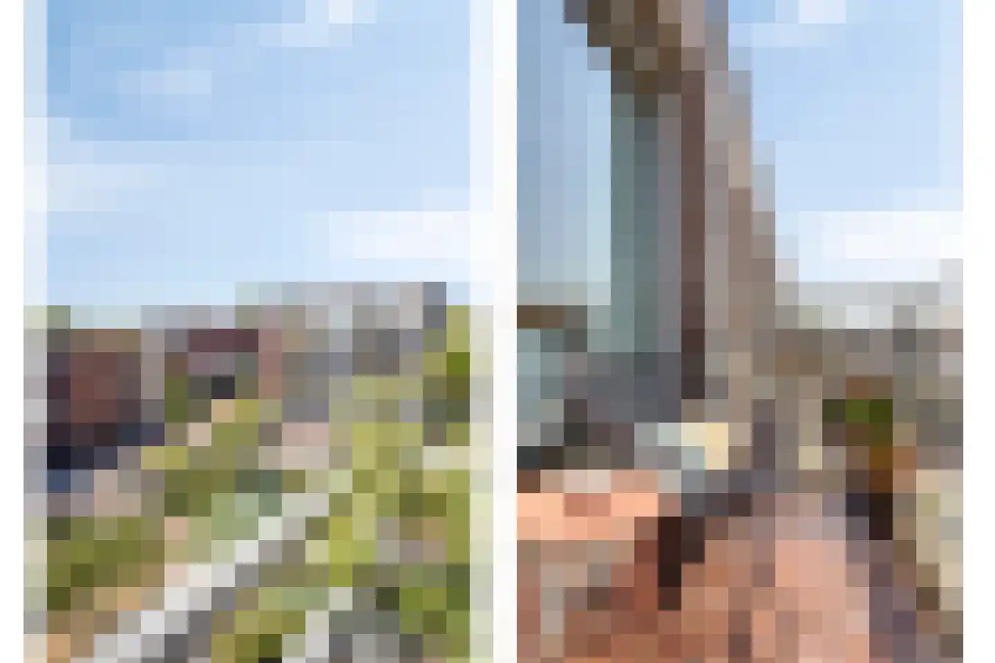Schelphoek 204 Alkmaar thumbnail 21