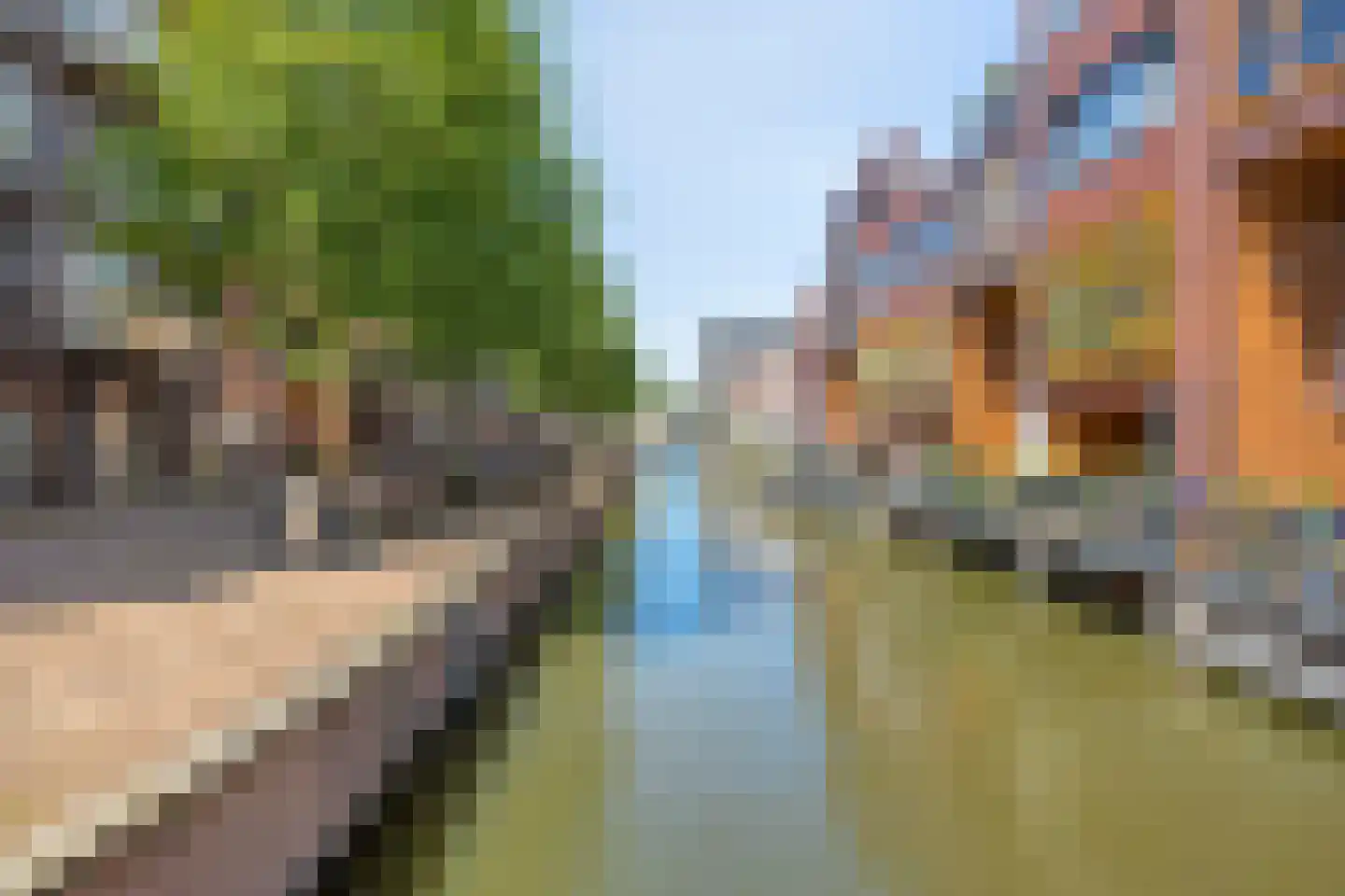 Schelphoek 204 Alkmaar thumbnail 23