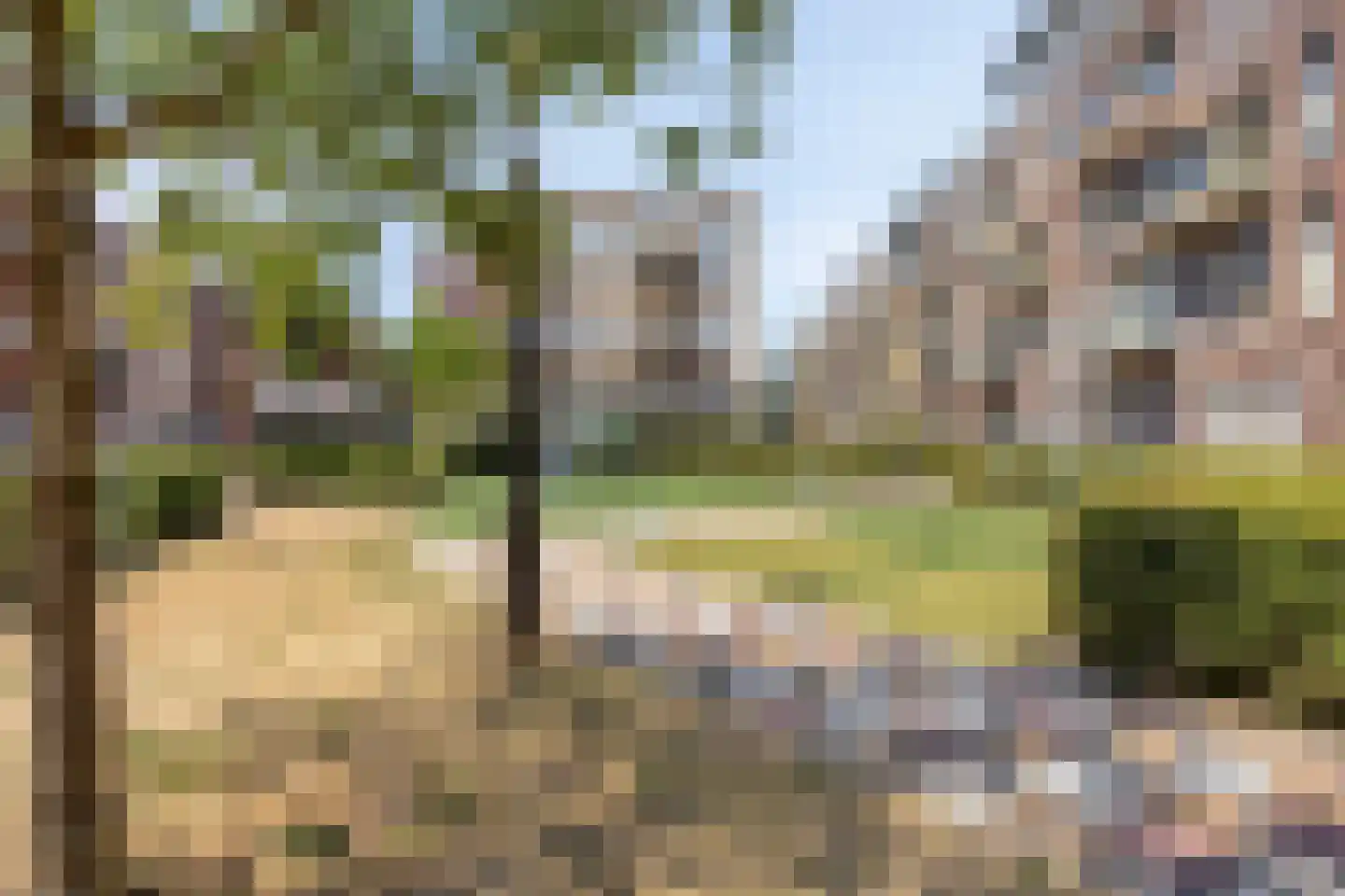 Schelphoek 204 Alkmaar thumbnail 24
