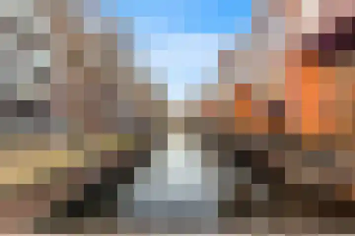 Schelphoek 216 Alkmaar thumbnail 33