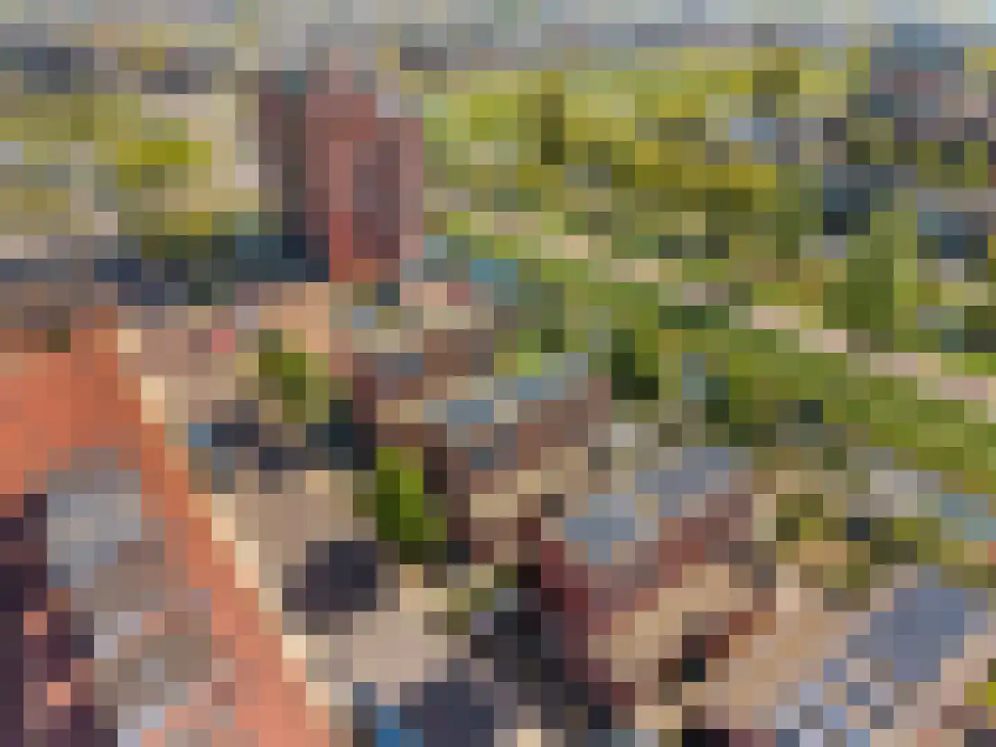 Schelphoek 50 Hoofddorp thumbnail 48
