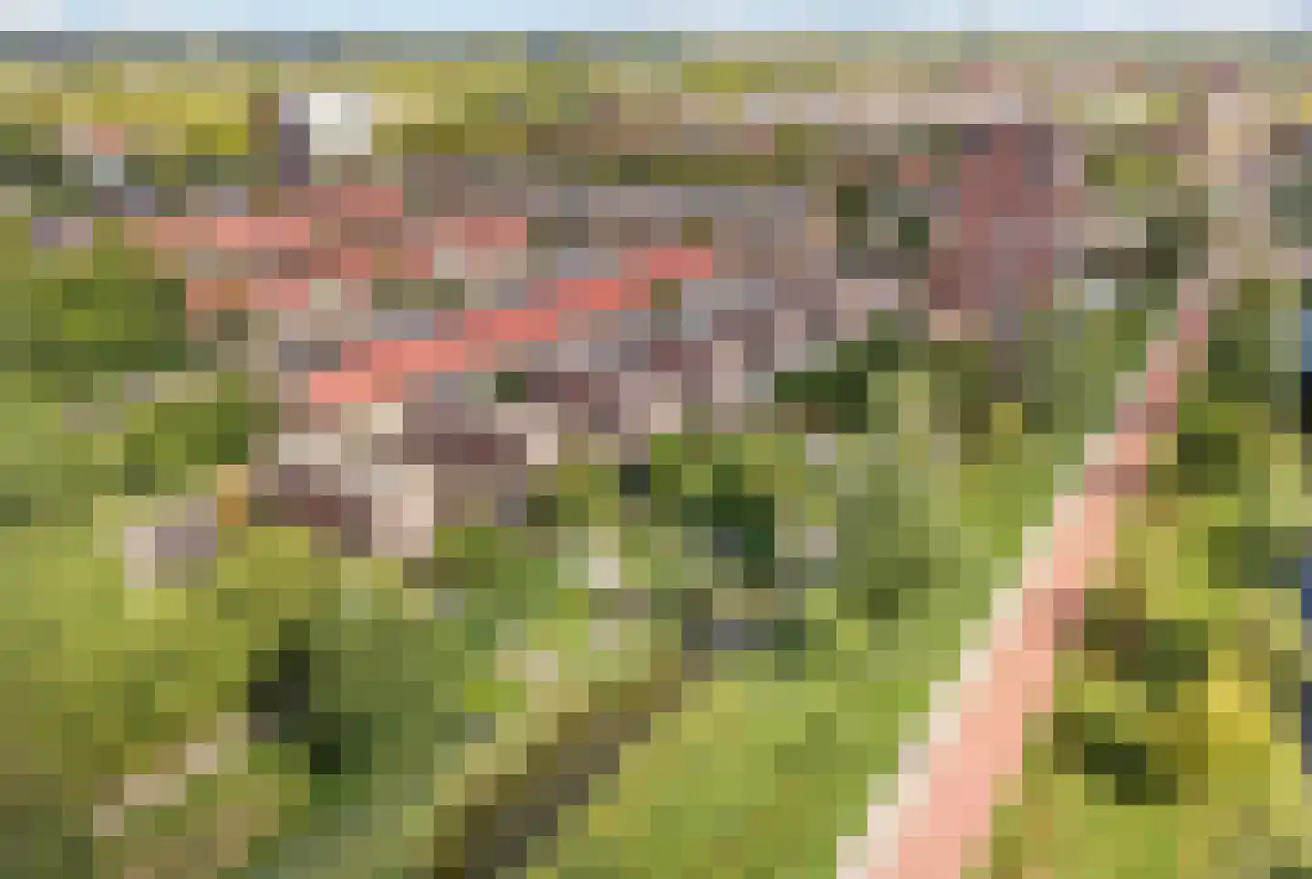 Schelphoek 52 Hoofddorp thumbnail 52