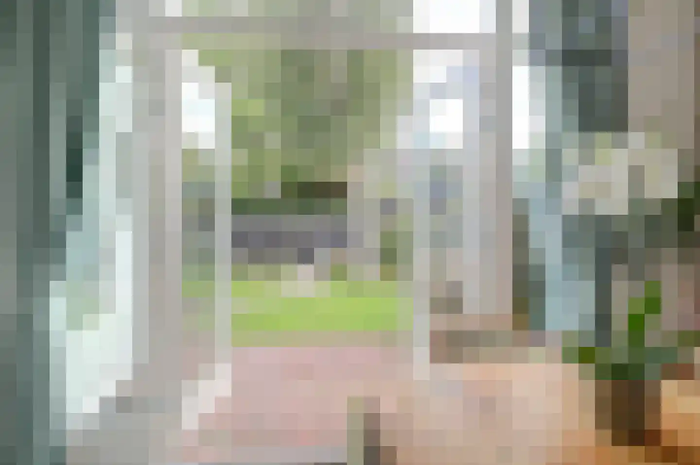Schelphoek Zuid 14 Warmenhuizen thumbnail 16