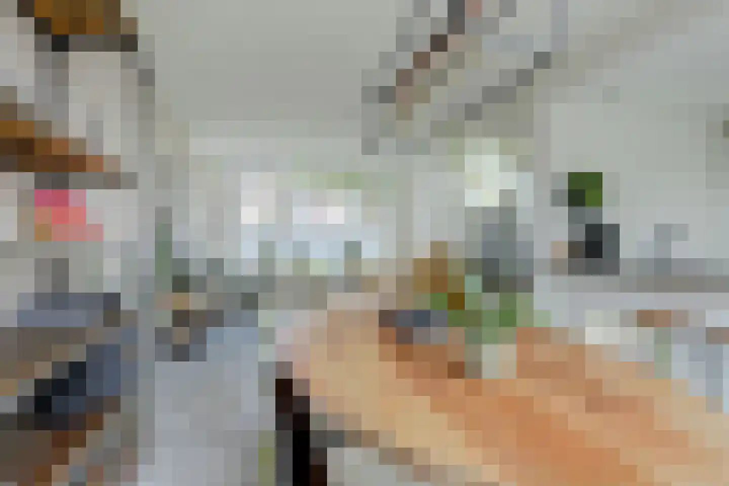 Schelphoek Zuid 14 Warmenhuizen thumbnail 18