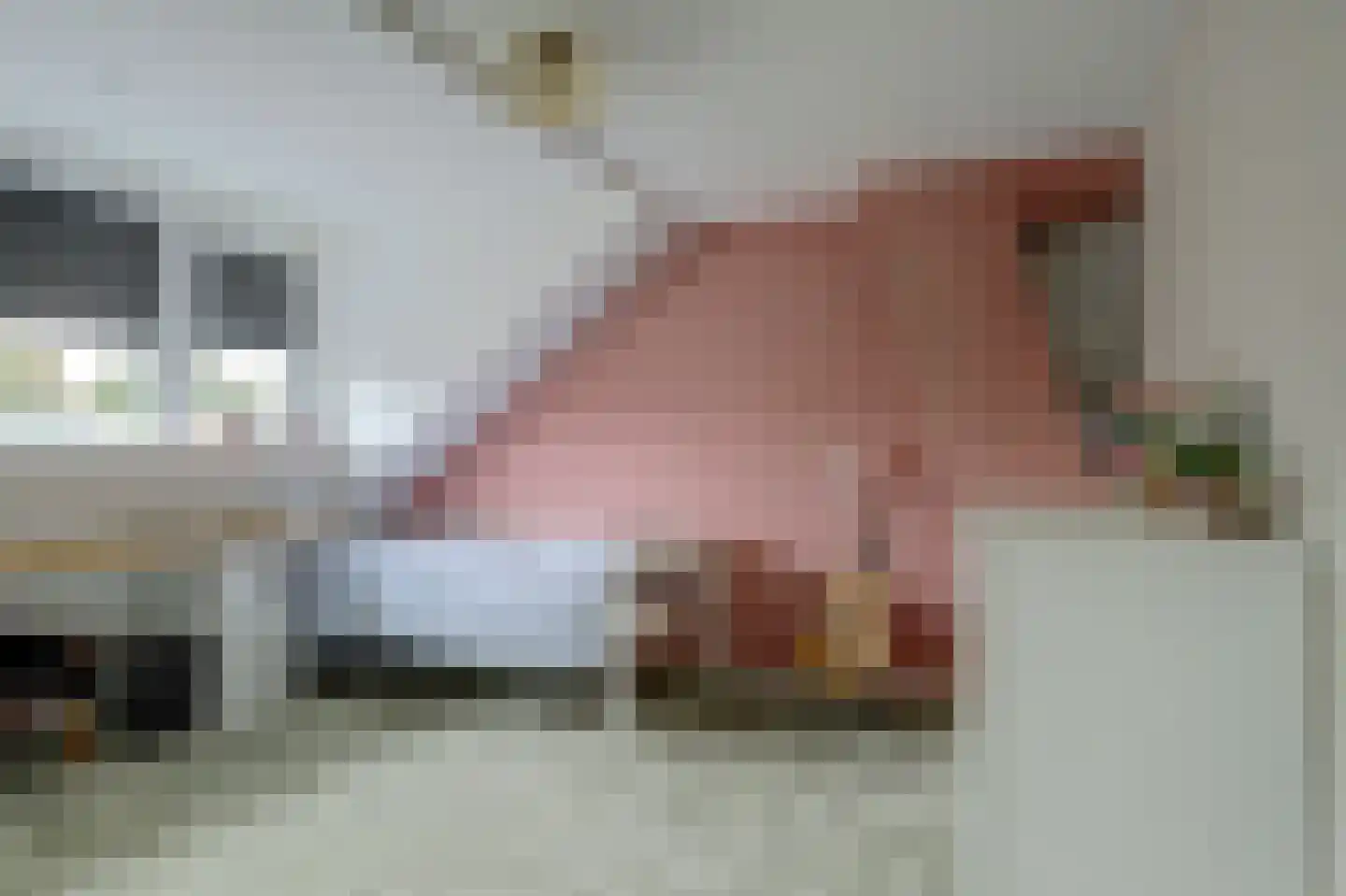 Schelphoek Zuid 14 Warmenhuizen thumbnail 41