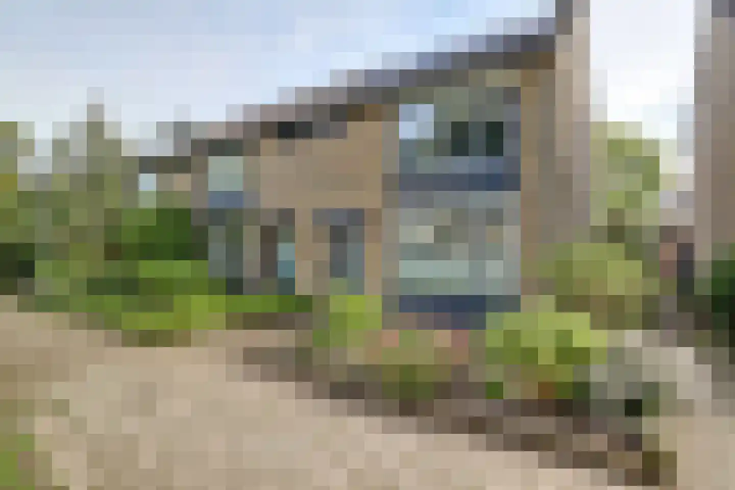 Schelphoek Zuid 14 Warmenhuizen thumbnail 6