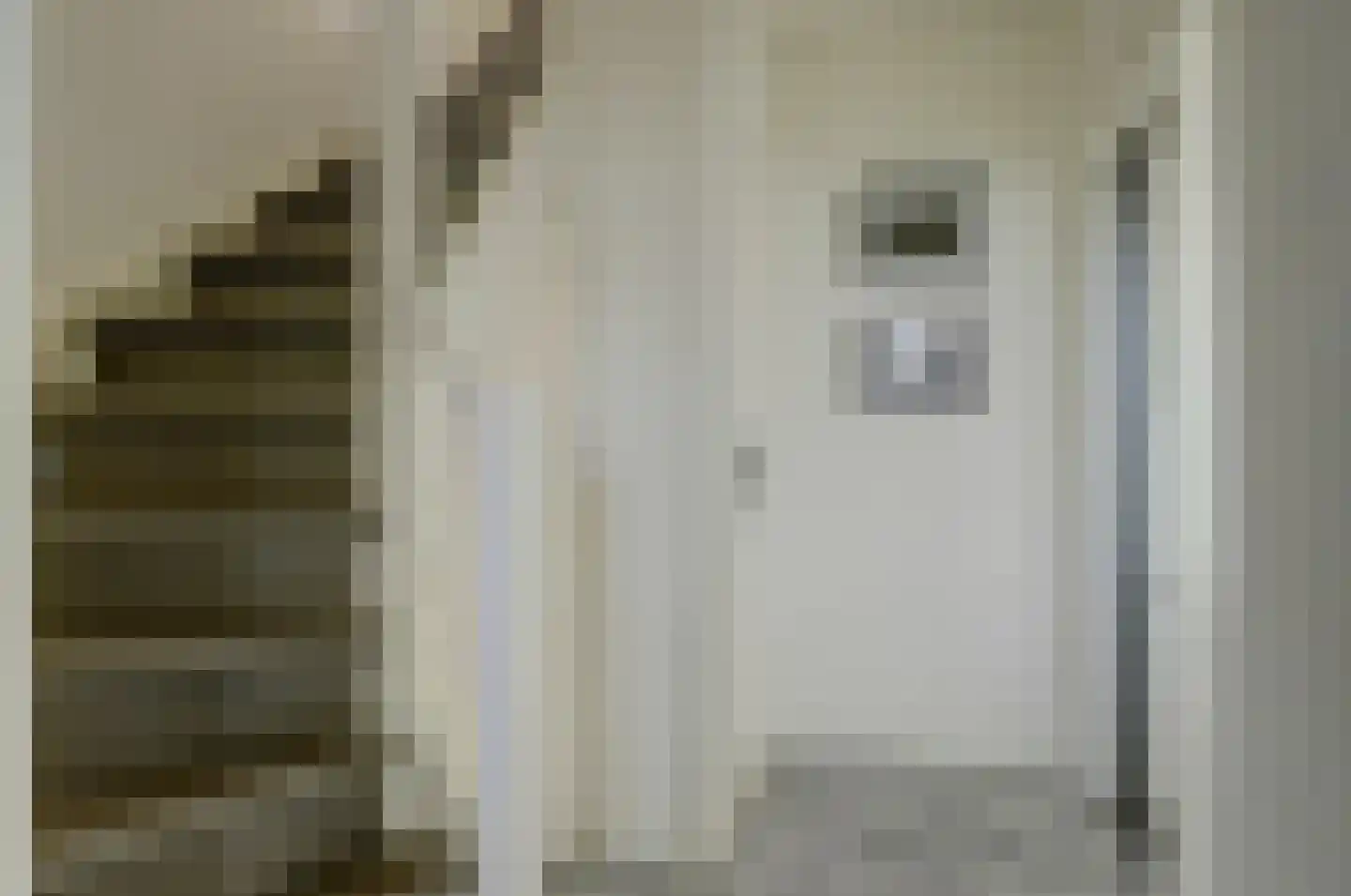 Schelphoek Zuid 14 Warmenhuizen thumbnail 9