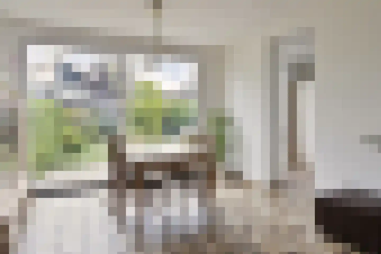 Schelphoekstraat 10 Zierikzee thumbnail 10