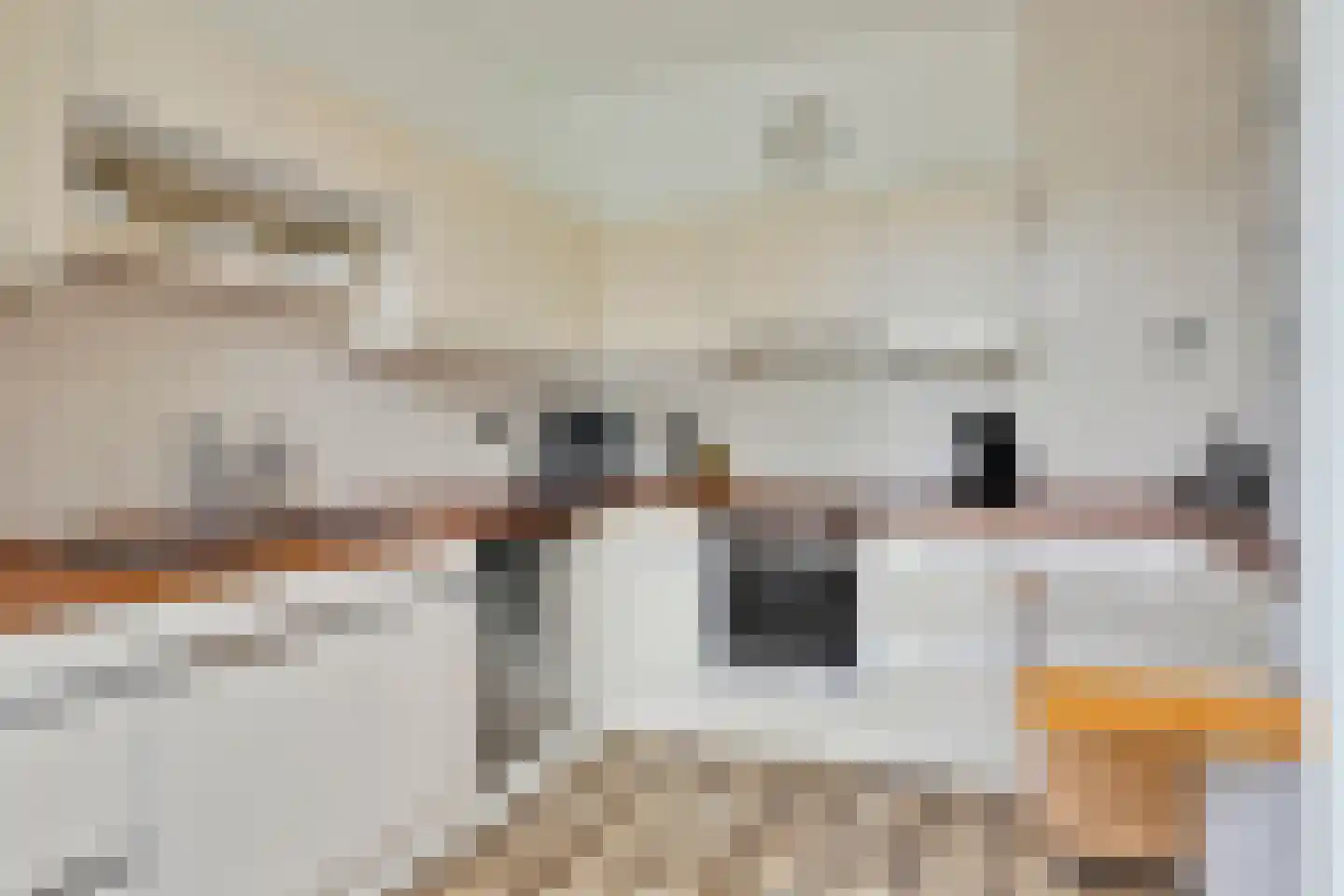 Schelphoekstraat 10 Zierikzee thumbnail 11