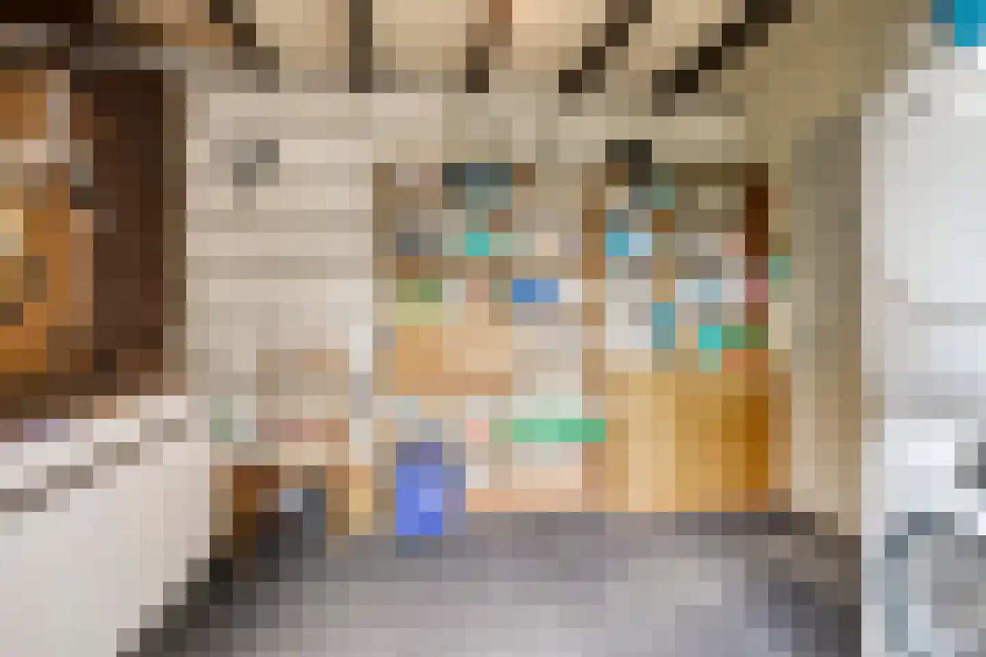 Schelphoekstraat 10 Zierikzee thumbnail 32
