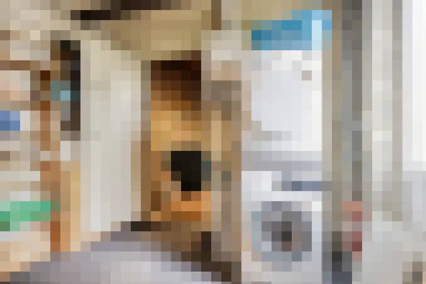 Schelphoekstraat 10 Zierikzee thumbnail 33