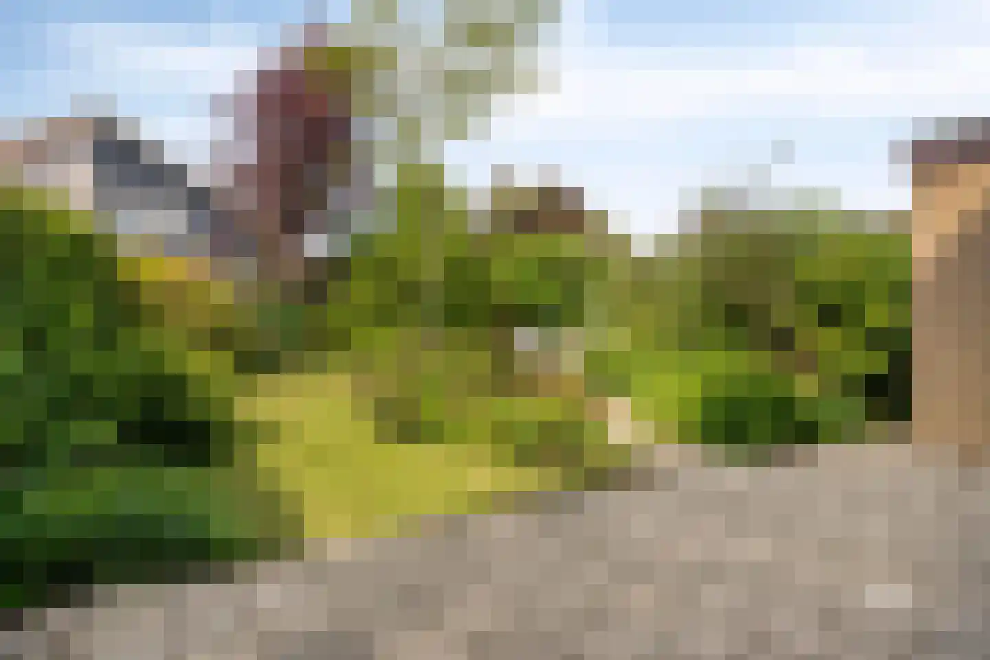 Schelphoekstraat 10 Zierikzee thumbnail 5