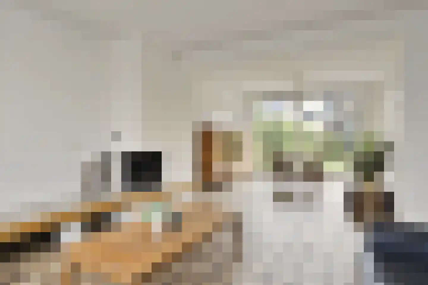 Schelphoekstraat 10 Zierikzee thumbnail 9