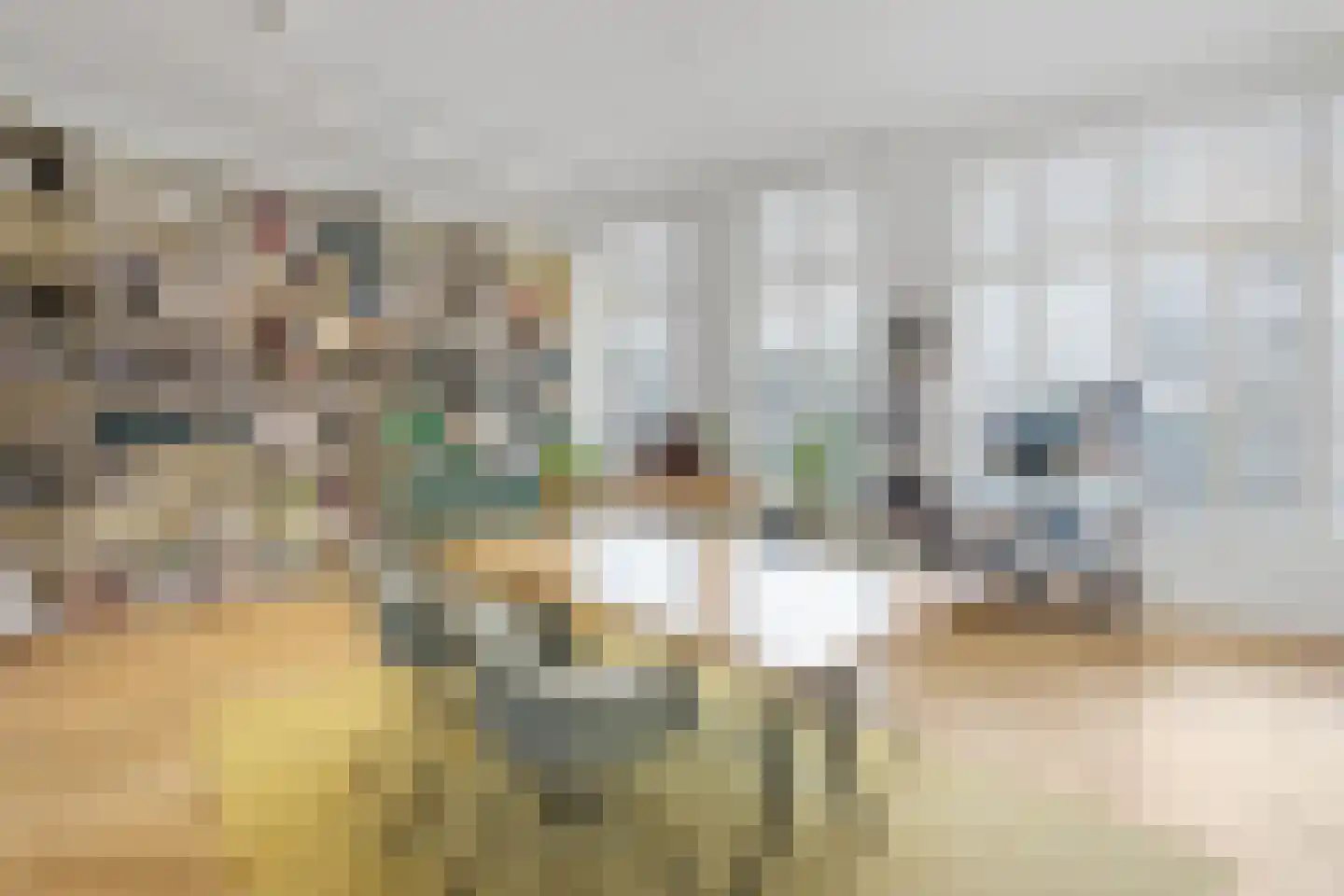 Schelpkade 48 Den Haag thumbnail 31