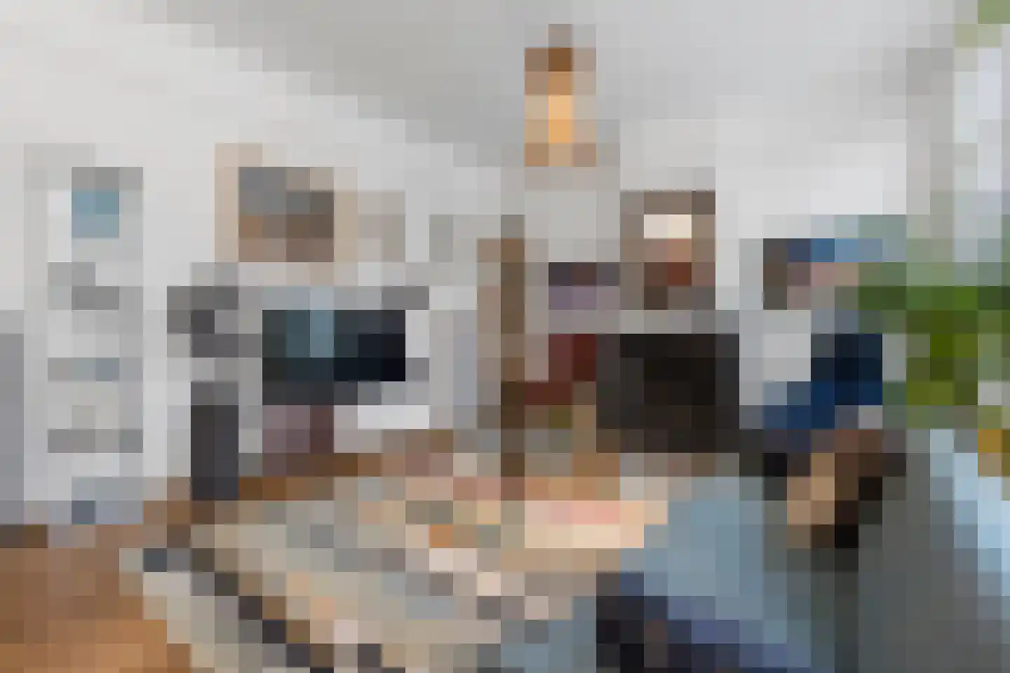 Schelpkade 48 Den Haag thumbnail 4