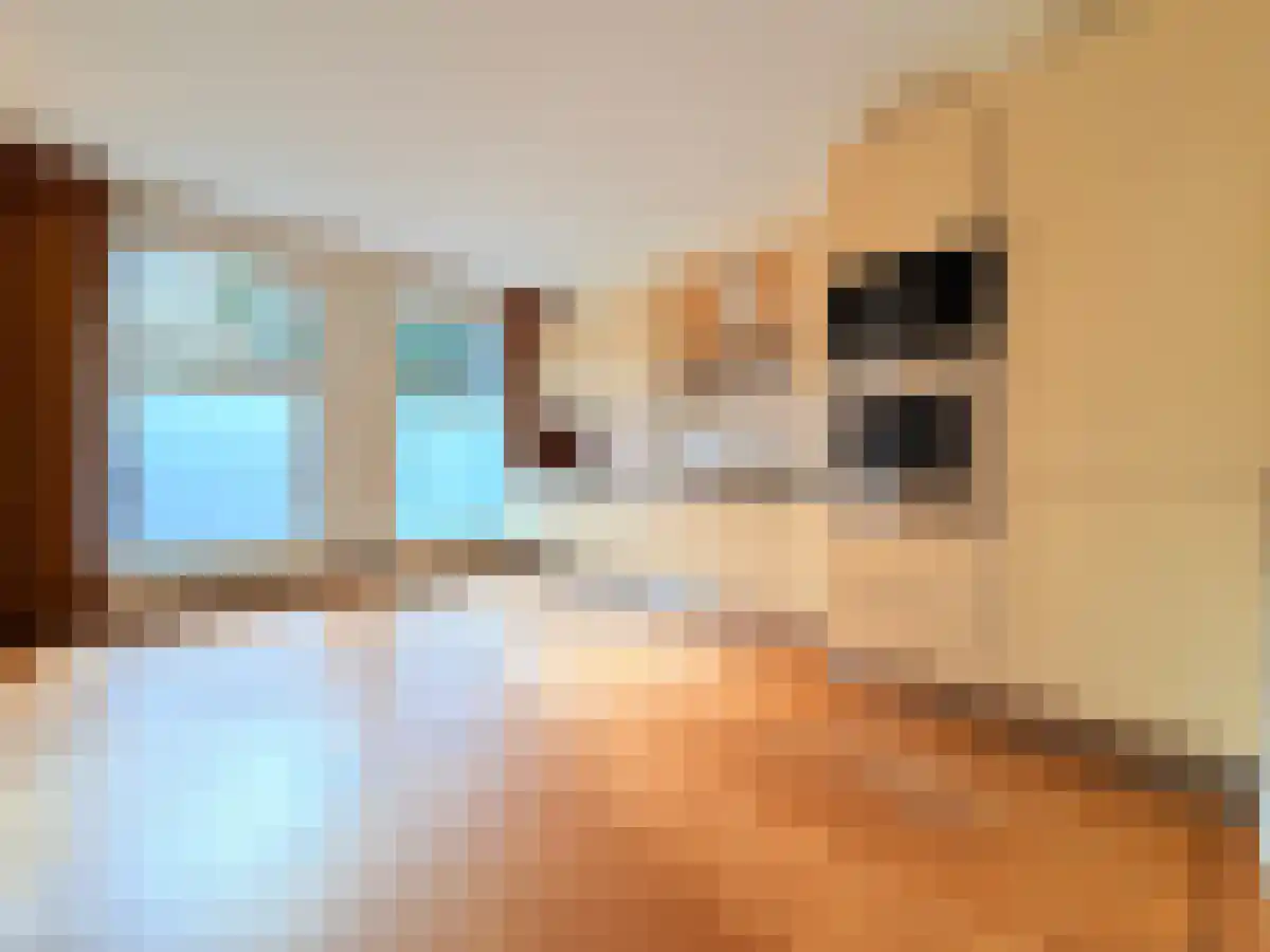 Schelpkade 7 Den Haag thumbnail 5