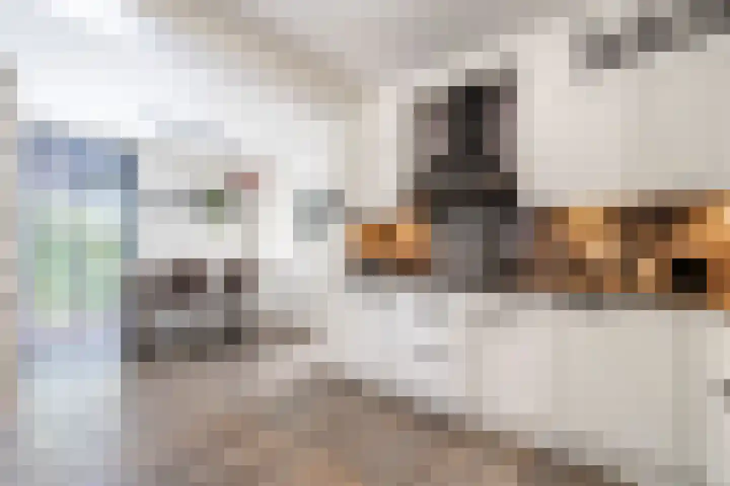 Schelpkreek 1 Zwolle thumbnail 10