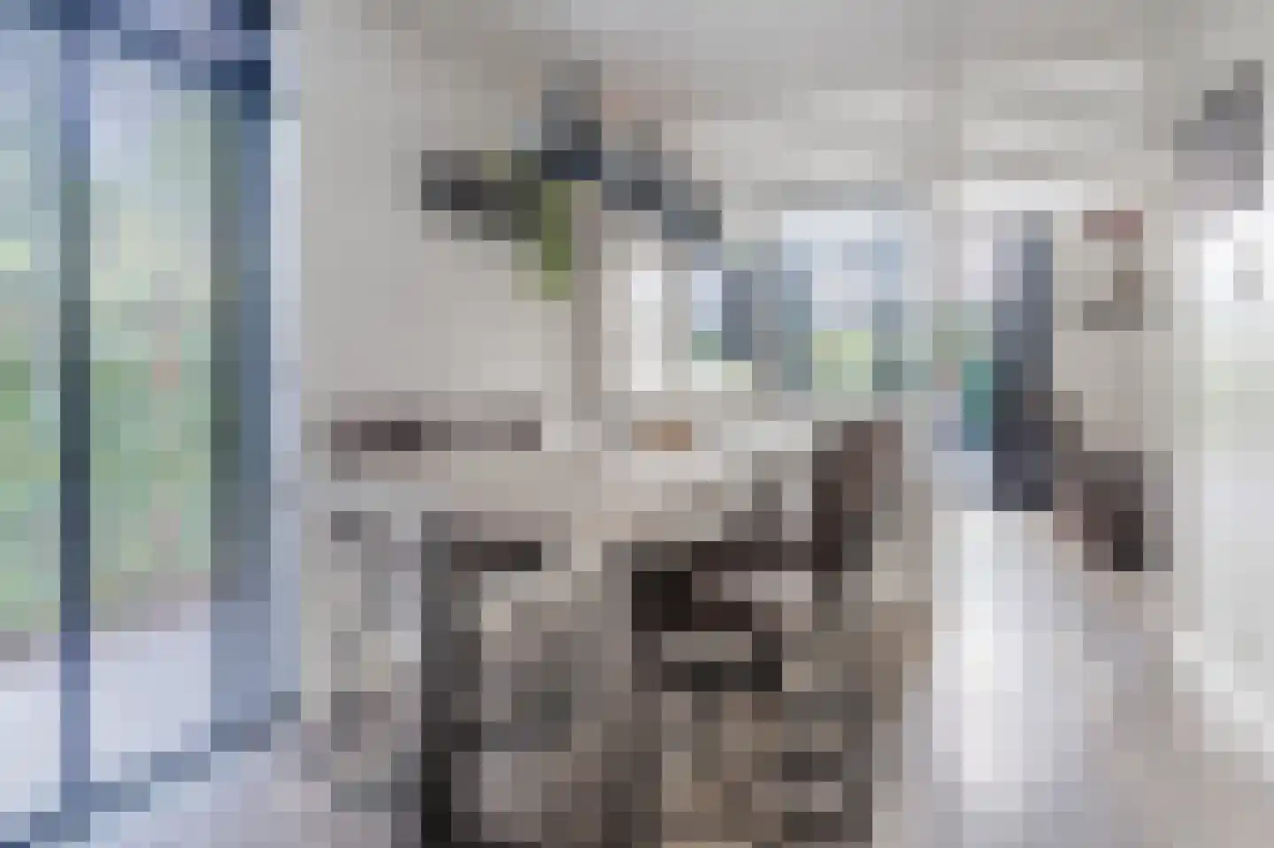 Schelpkreek 1 Zwolle thumbnail 11