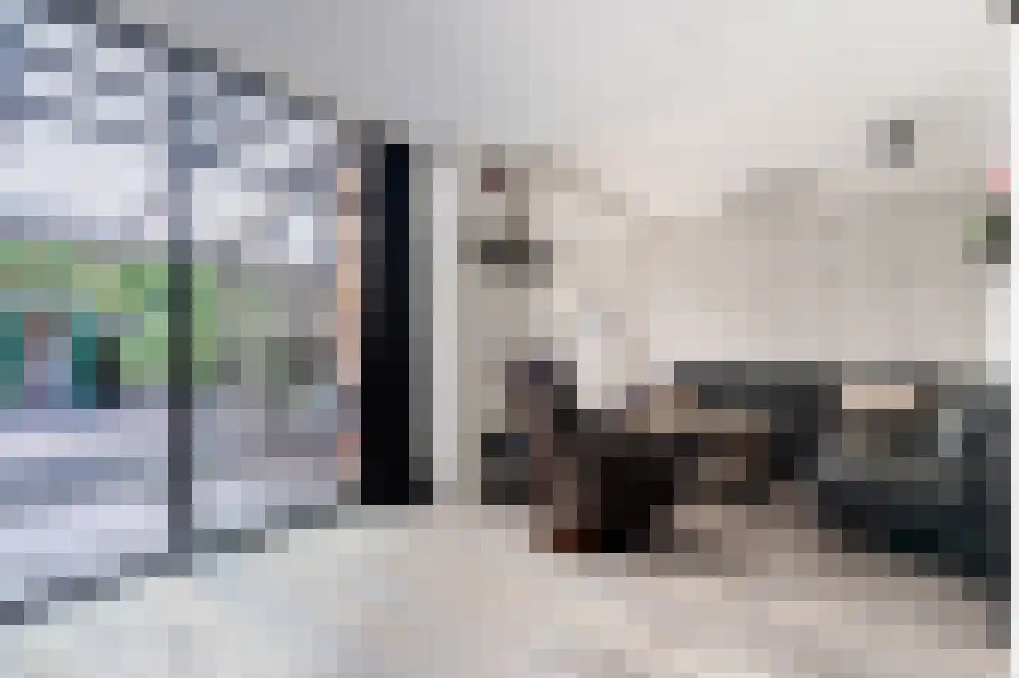 Schelpkreek 1 Zwolle thumbnail 15