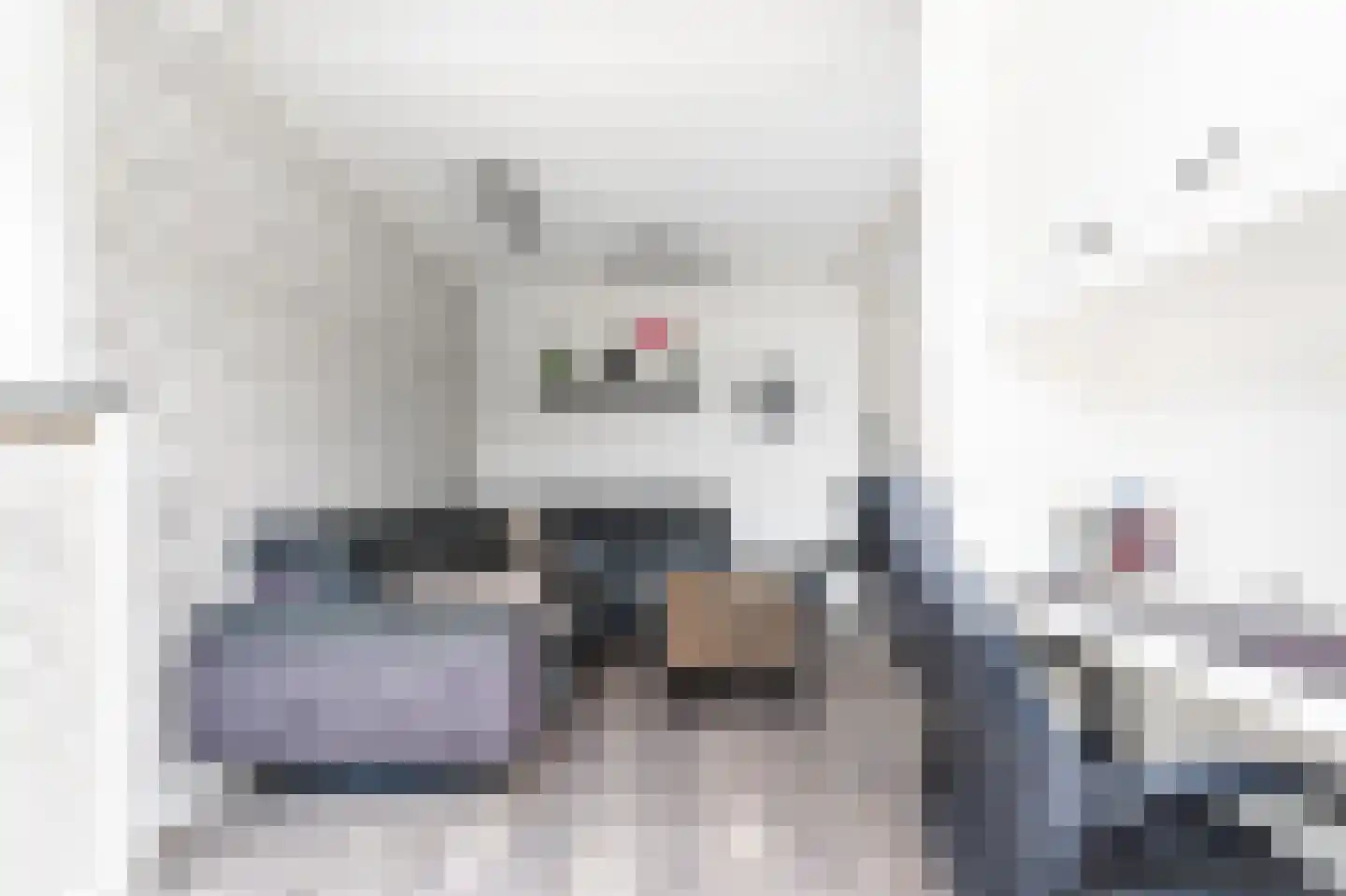 Schelpkreek 1 Zwolle thumbnail 16