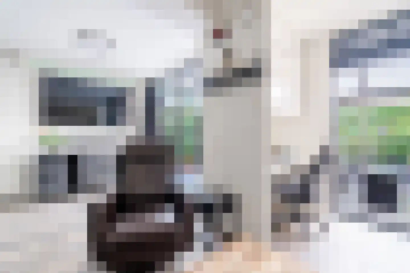 Schelpkreek 1 Zwolle thumbnail 18