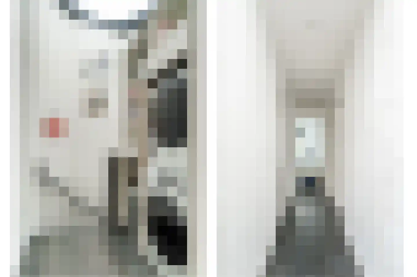 Schelpkreek 1 Zwolle thumbnail 19