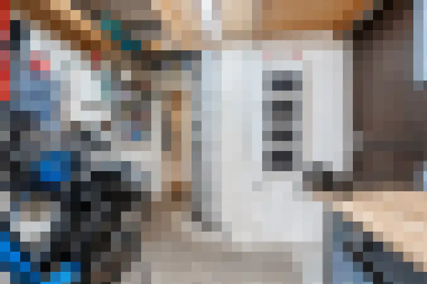 Schelpkreek 1 Zwolle thumbnail 21