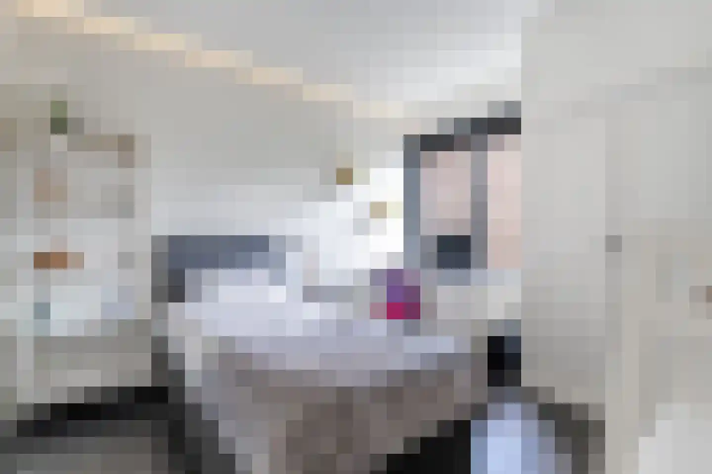Schelpkreek 1 Zwolle thumbnail 23