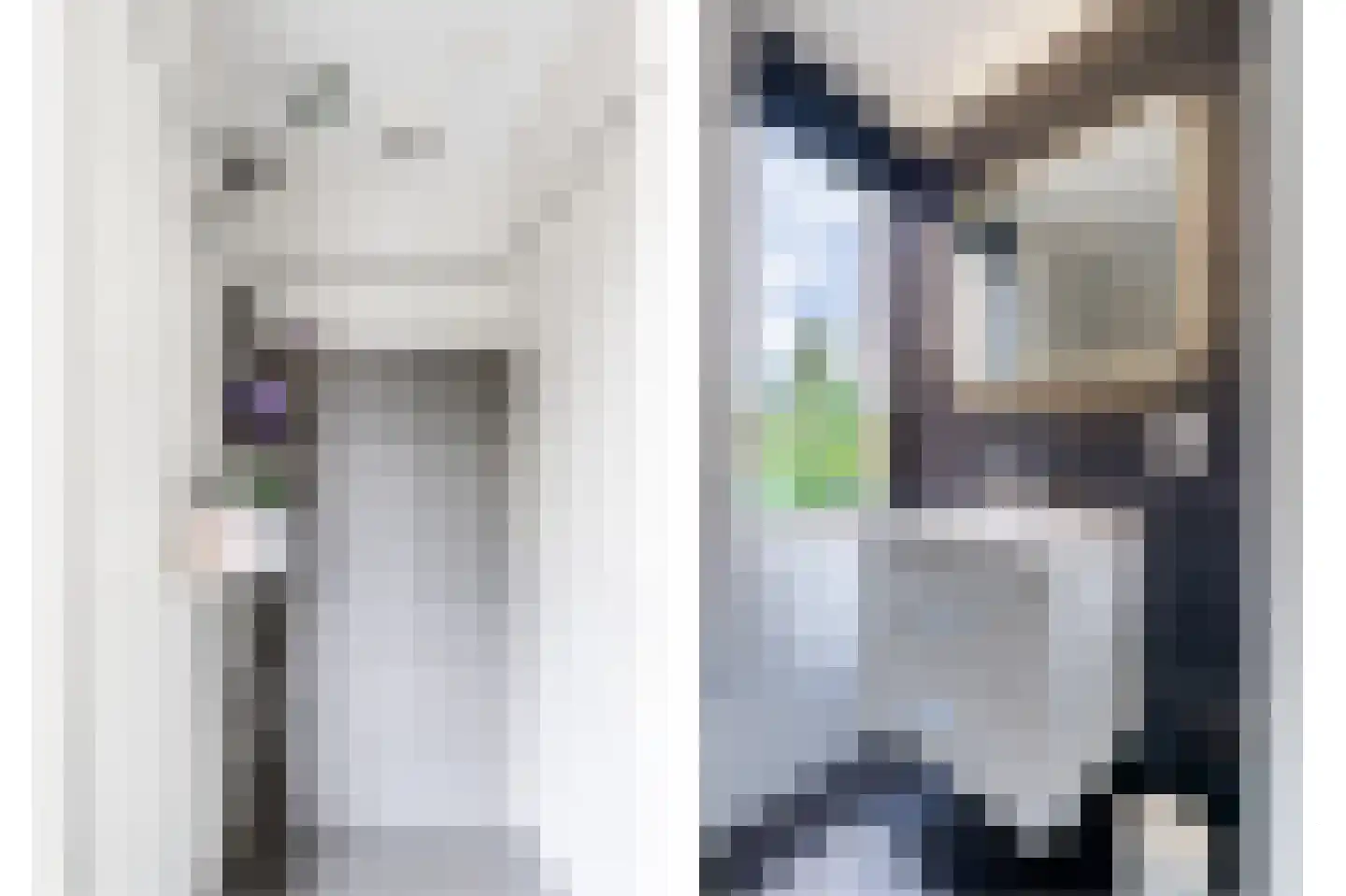Schelpkreek 1 Zwolle thumbnail 27