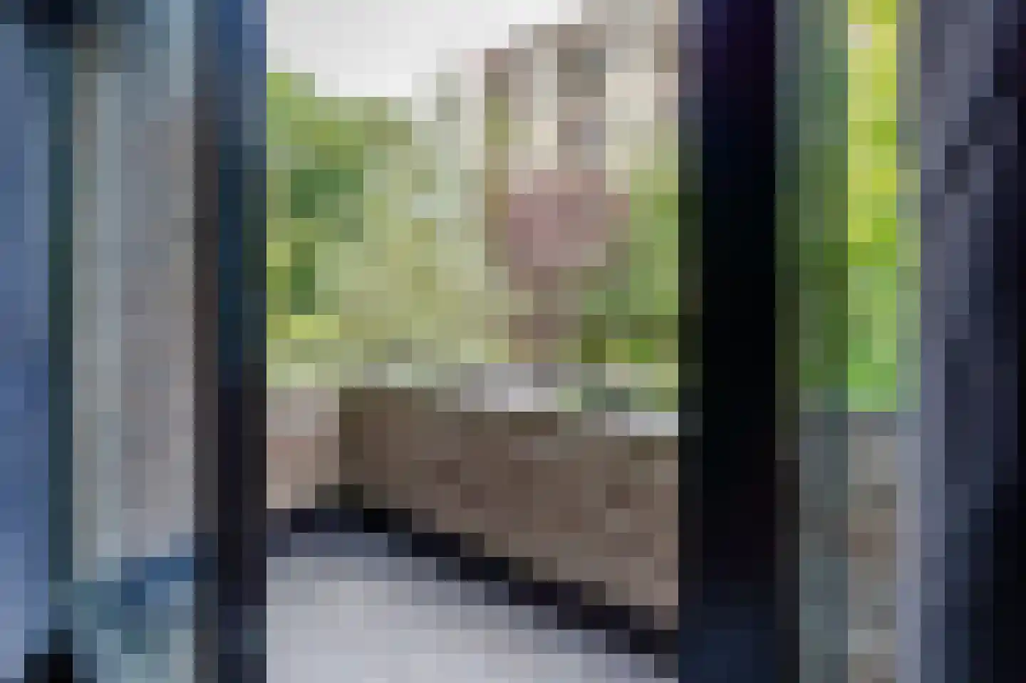 Schelpkreek 1 Zwolle thumbnail 30