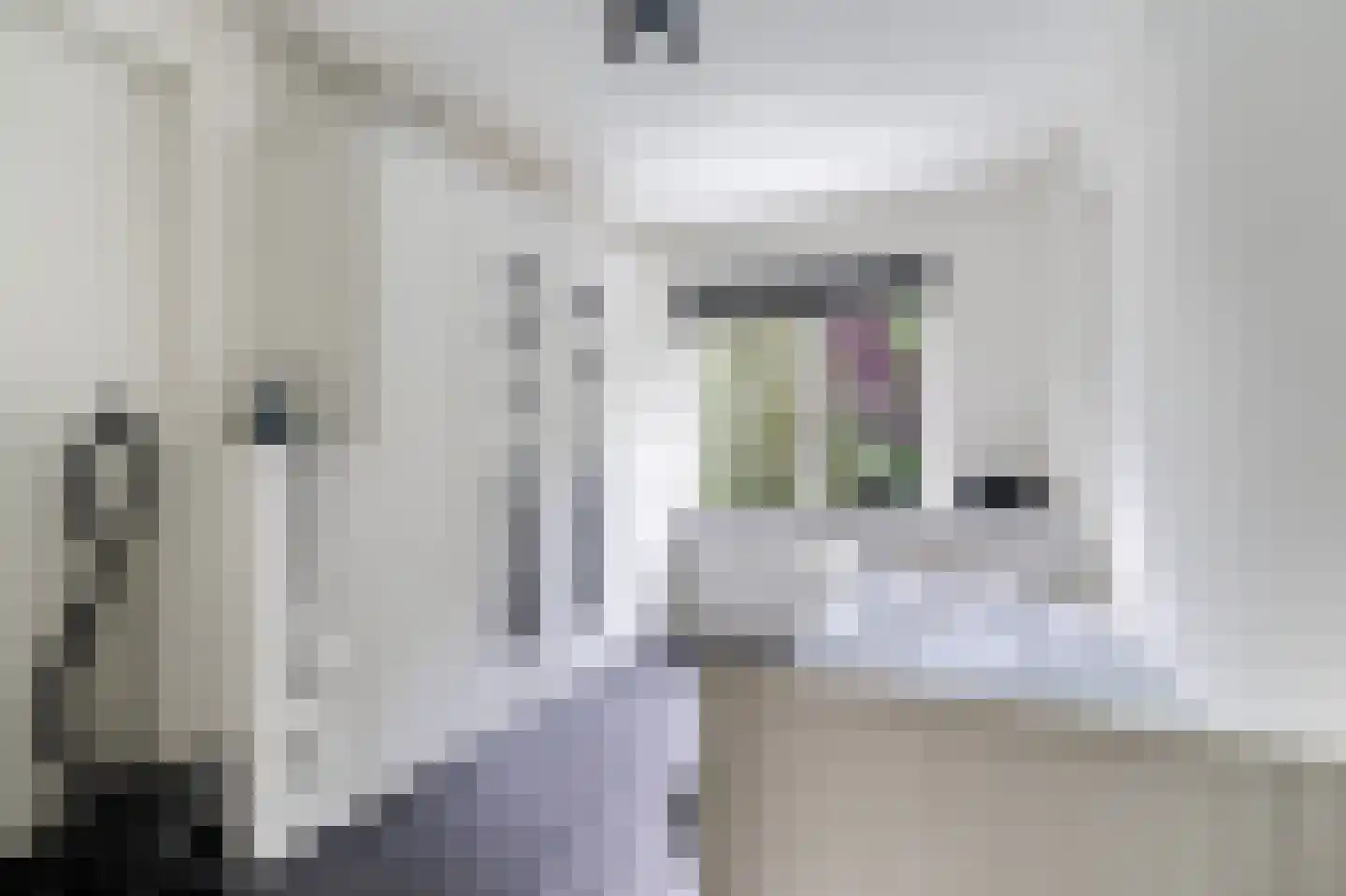 Schelpkreek 1 Zwolle thumbnail 31