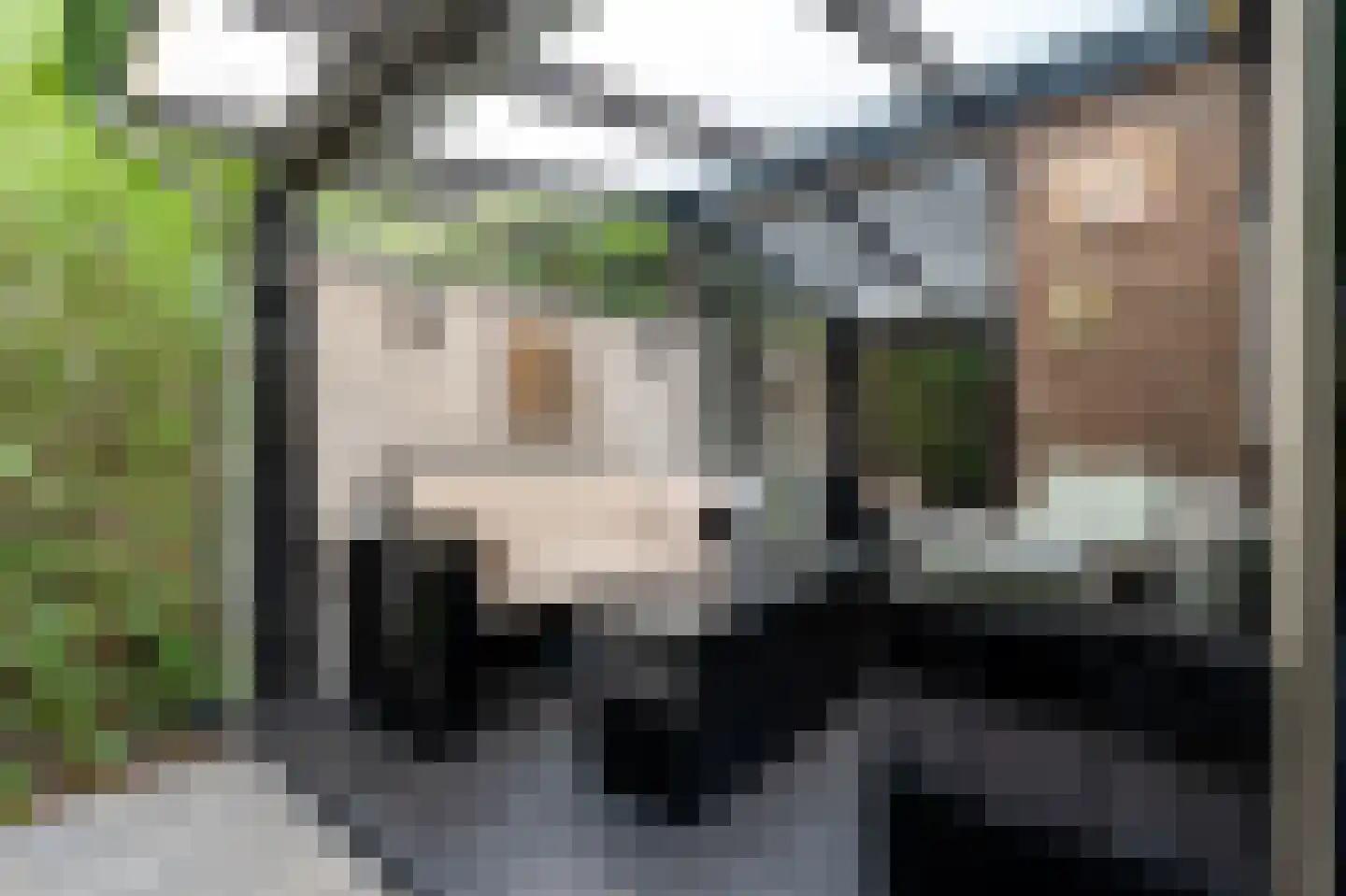 Schelpkreek 1 Zwolle thumbnail 33