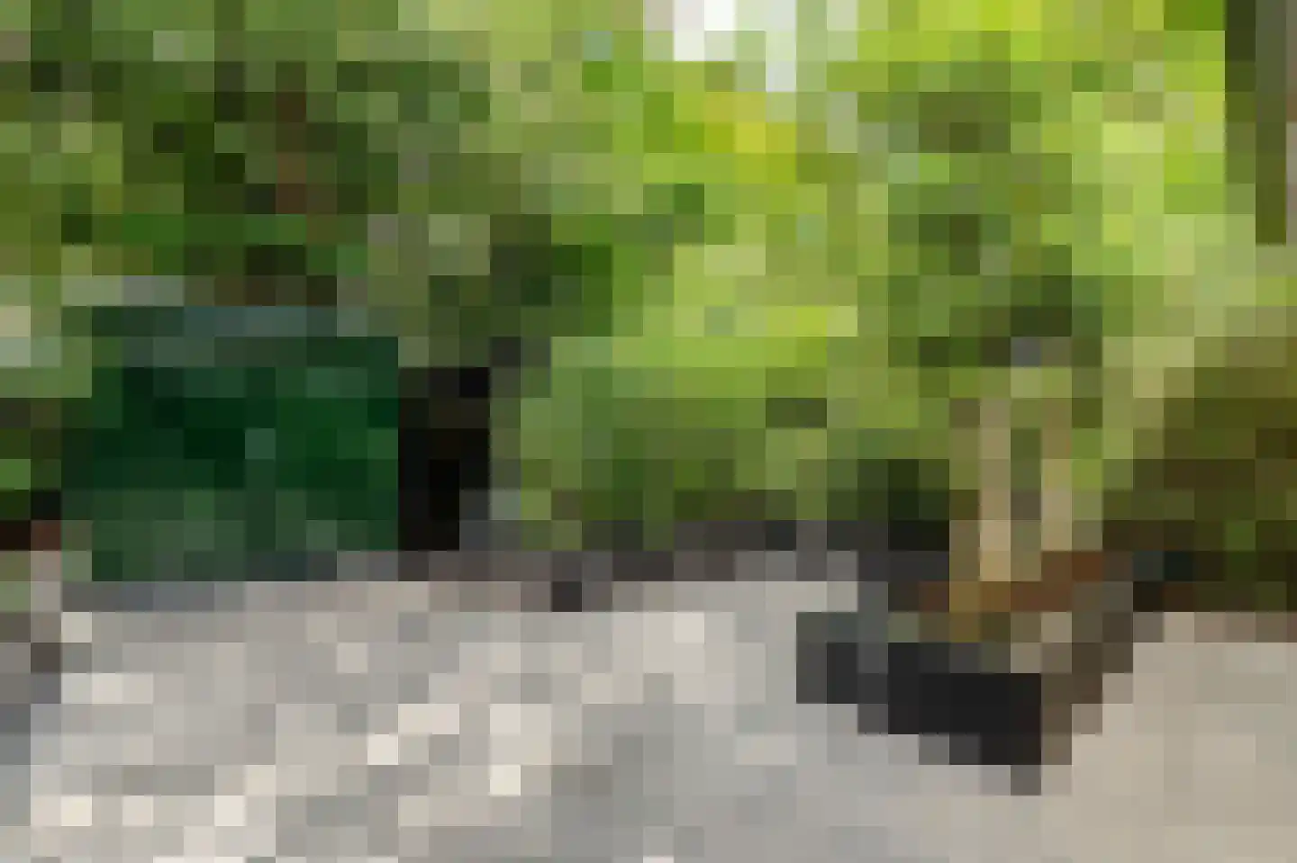 Schelpkreek 1 Zwolle thumbnail 37