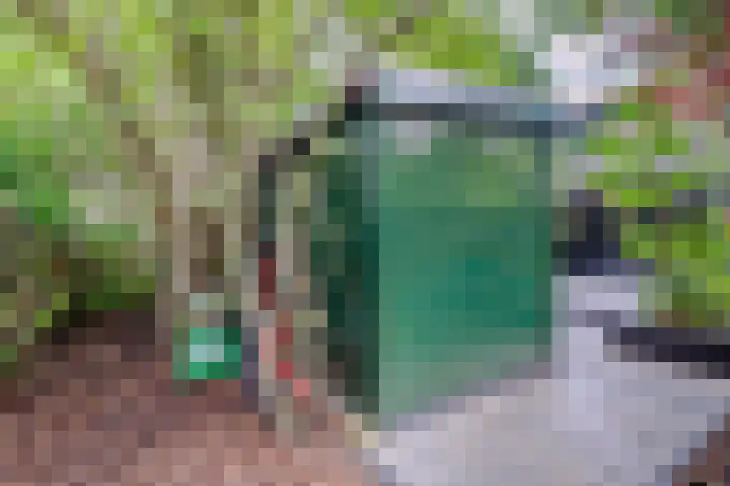Schelpkreek 1 Zwolle thumbnail 38
