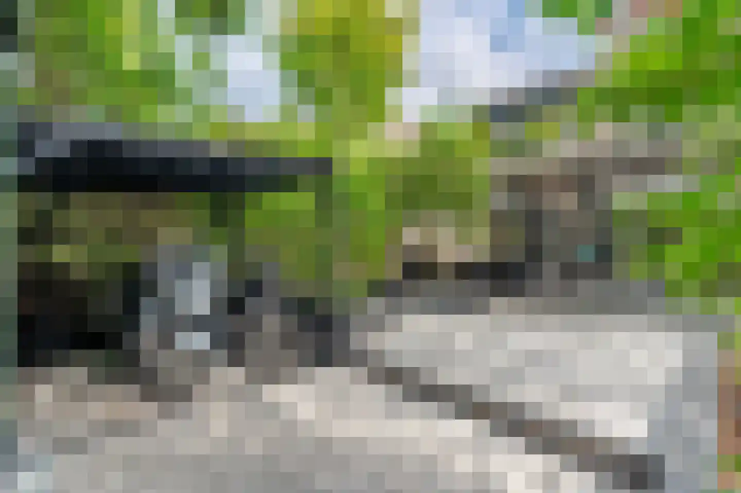 Schelpkreek 1 Zwolle thumbnail 40