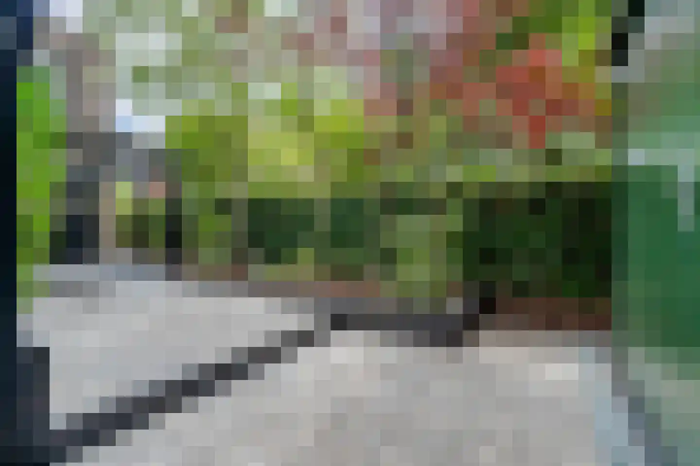 Schelpkreek 1 Zwolle thumbnail 41